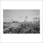 Baia dello Zingaro Trapani 2005 - istanti