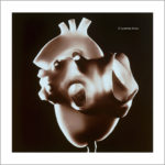 Cuore 2004  - museo anatomia