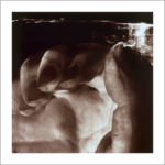 Mano 2004  - museo anatomia